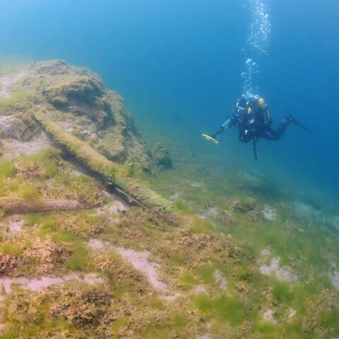 MİNELAB EXCALİBUR 2