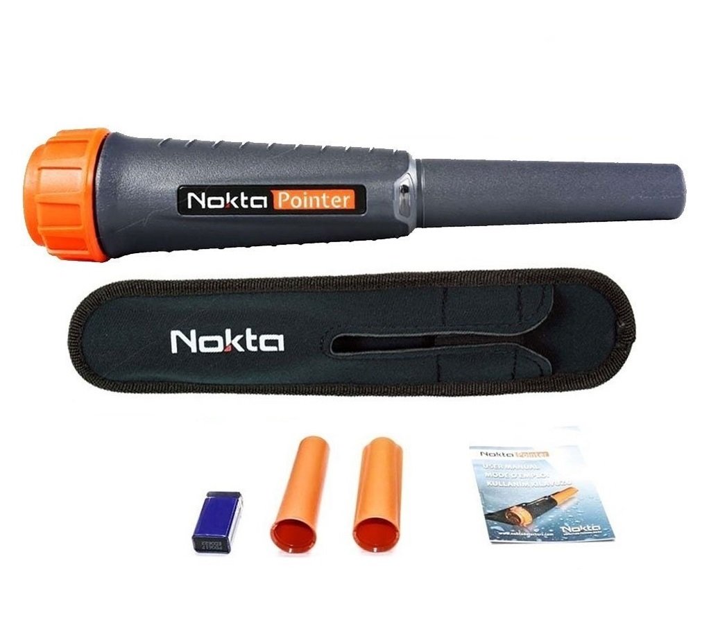 NOKTA POİNTER